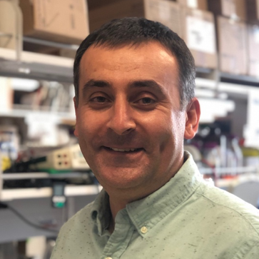 Hayk Davtyan, PhD